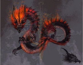 世界上有龙吗 没见过的人都觉得不可相信