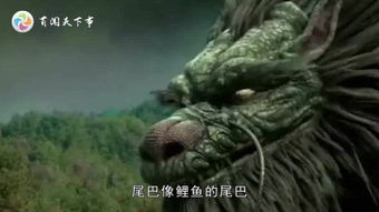世界上有龙吗 没见过的人都觉得不可相信