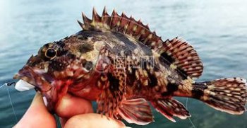 ʯ�Ź������Ǯһ�� ��ͬ�Ĳ��ؼ۸���������