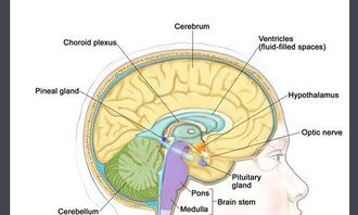 �ж����˼������ɹ��� �����ɹ�����Ҫʲô������