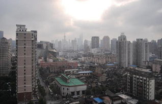 �Ϻ���������ƶ������ ����ƶ���