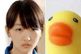 �ܶ���Ѽ�ӽ�ʲô Ϊʲô�ܶ���ᱻ����С��Ѽ