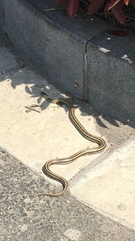 ·����������ʲô���� �߹���Ҫ����