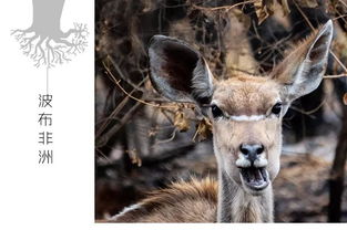 �������ϻ��� ������û���ϻ���