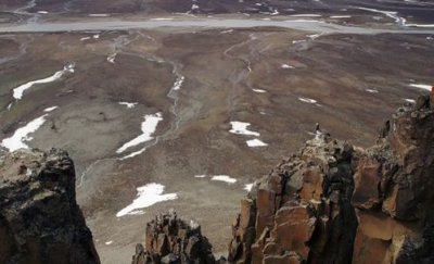 藤壶鹅为什么让孩子跳崖 以求生命的再度延续