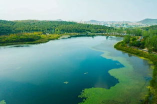 ���ĺ�����ʲô�� ���ҹ���½�й����ĺ���