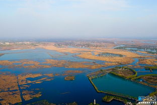 ���ĺ�����ʲô�� ���ҹ���½�й����ĺ���