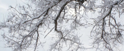 ������ѩ�����������ʲô��˼ ������ѩ������������ʲô