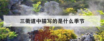 ���������д����ʲô���� �������÷�ӻ�ʱ��ʲô����