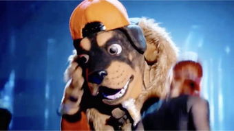 蒙面唱将火星哥是谁 为何他揭面如此顺利