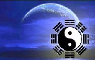 �׾�Ԥ��2020������ �����׾�Ԥ���ҥ�Բ���������