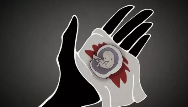 ��ѧ��Ӥ����Ĵ����� �в����˶��Ʊ�Ӥ�鱨����