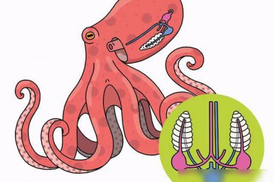 ��������Ķ��� ���ľ��Ե������Ѿ�Υ���˽�����