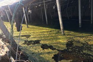 �ٹ⾲ɽ�����ж��� �����ٹ��е���ߵ�