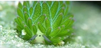 ���ຣ������������ ���Լ�������ò���ι