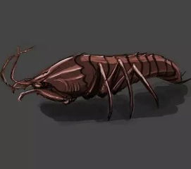 海猴子是什么生物 现实中会不会也有这种可怕的生物呢