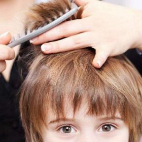 ����������ʲô�ɻ� ������Ϊ�ι�Ϊ��������ô����