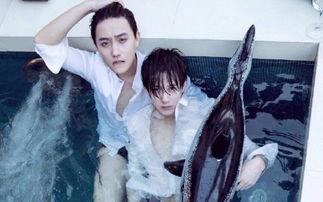 ̴������Ӿ�ν��� �����������Ǳ��ֵ÷ǳ�����