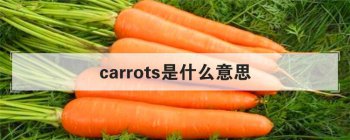 carrots��ʲô��˼ �˽�carrot��Ӣ�ĵ��ʰ�