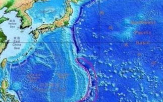 ����������ĺ������������� ���������ɺ���