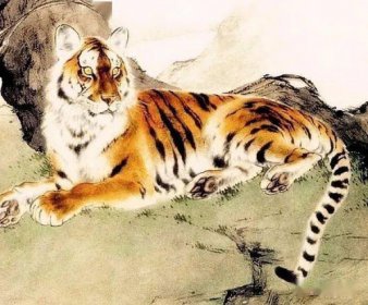 ����������һ����ʲô ������ʲô���ǰ������