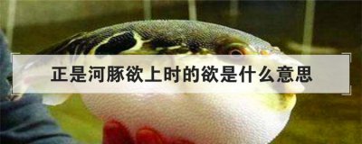 ���Ǻ�������ʱ������ʲô��˼ ��������˼��