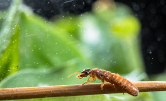 ��ˮ�϶�û��� ����һ��ֻ��һ������