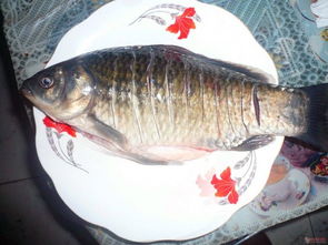 ������ʲô�� ��һ�����ۺ��Ե�����