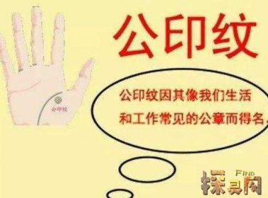 9种手纹的女人命好 看看你有没有这几种手纹