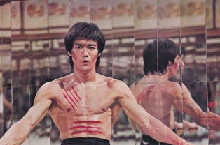 ʳ�����¼�������� �ǵ��Ӿ硶ʳ�����¼����е��鹹����