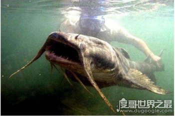 �������������� ����������586���س�7��