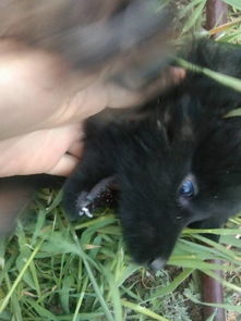 ���Ĳ����ж��ٽ� ��������1.8����200����