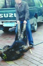 ���Ĳ����ж��ٽ� ��������1.8����200����