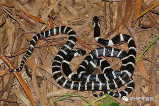 �������ж��� ��������ҧ���ж�