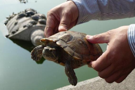 �������Զ��ﲻ�ܷ��� �������ַ�����Σ��