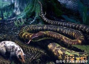一亿年巨蟒沃那比蛇化蛟龙 一口吃掉远古霸王龙(图片)