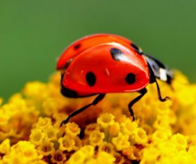 ��������������Щ �۷䡢ư�桢��롢����