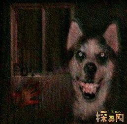 ΢Ц��Ϊʲô���� Դ�������ǯ}�˵�΢Ц