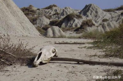 ����һ������˼��� �ִ���ѧ�Ѿ�֤ʵ������Ĵ�