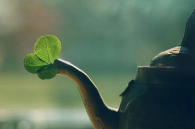 ʮ��Ԥ�������Ŀھ� Ԥ����Ⱦ����������