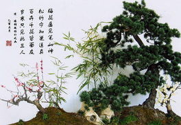 岁寒三友是指哪三个植物 为什么能流传至今呢