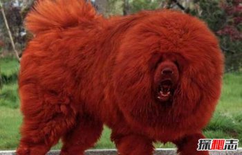 ������۸�3200��ͼƬ ���������Ĳ���