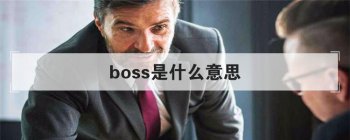 boss是什么意思 它具体都有哪些特征呢