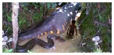 һ�ڸ�ͷ������ʵ������ �����ϸ�����û�������Ķ�ͷ��