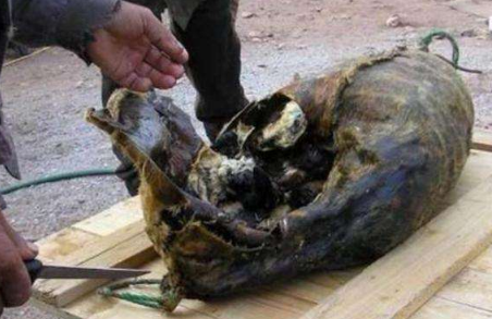 基维亚克好吃吗 基维亚克什么味道