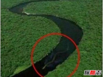 �������Ƿ��ִ��������� ���ؾ���������������