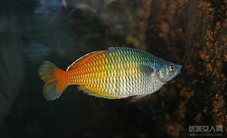 ���������Щ ������۸�ܱ���