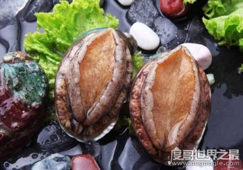 �������������ϡ�еı��� ��ƶ���ͷ���۸�28��һֻ