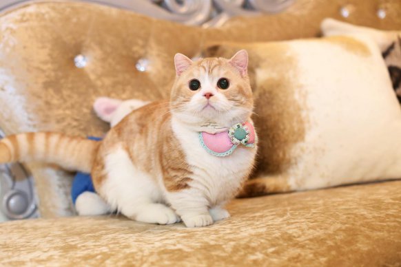 ��Ŭ�غ������������� ������è�����кܴ����