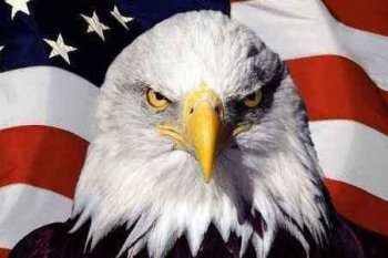 �����Ĺ�����ʲô �����Ĺ����ǰ�ͷӥ